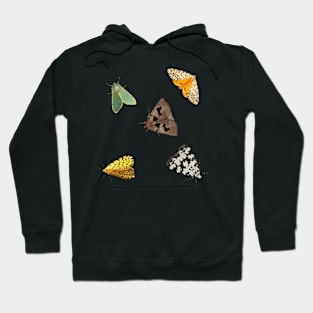 Big bright moth Hoodie